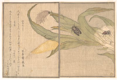  作： 北川歌ro