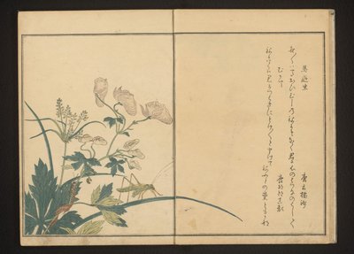 トリカブト植物のバッタとムカデ 作： Kitagawa Utamaro