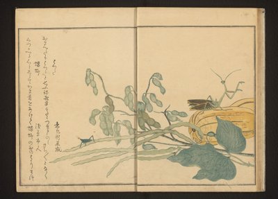豆のバッタとメロンのカマキリ 作： Kitagawa Utamaro