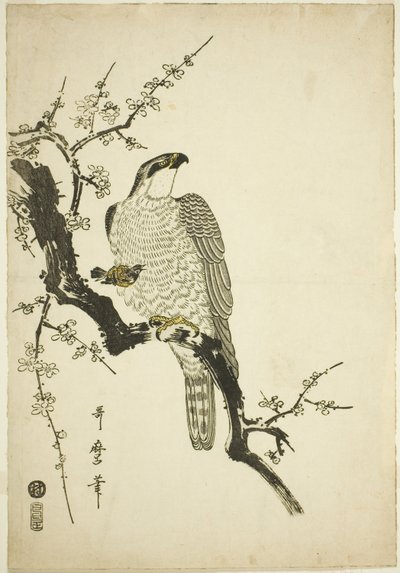 梅の枝にとまる鷹 作： Kitagawa Utamaro