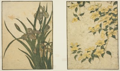 ケリアとアイリス 絵本『えほんしきのはな』vol. 1 作： Kitagawa Utamaro
