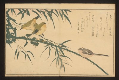 エナガとメジロ 作： Kitagawa Utamaro