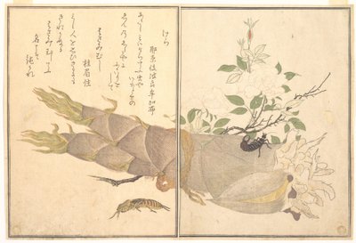  作： Kitagawa Utamaro