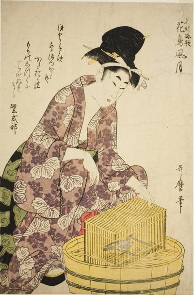 むらさきしきぶ 鳥 連載「名風詠歌花鳥風月」より 作： Kitagawa Utamaro