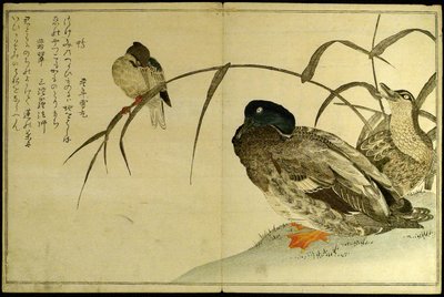 無数の鳥桃千鳥狂歌あわせ 作： Kitagawa Utamaro
