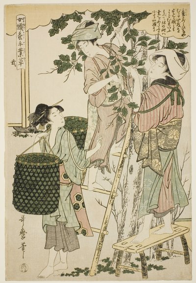 連載「養蚕手仕事草」より2号（に） 作： Kitagawa Utamaro
