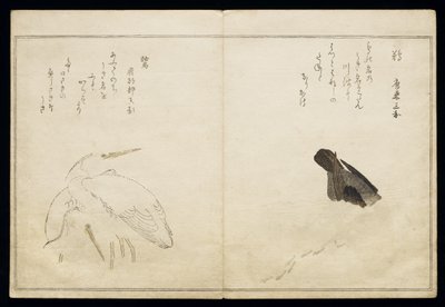 P.332-1946 Vol.1 f.4アルバム「鳥はユーモラスな歌で比較された」1791（カラーウッドブロックプリント）の右側の鵜と左側の2つのサギ 作： Kitagawa Utamaro
