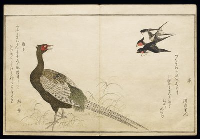 P.332-1946 Vol.1 f.6チムニースワローズとグリーンフェザントのペア。 作： Kitagawa Utamaro
