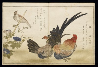 P.332-1946 Vol.1 f.8左がホオジロとヘン、左がホオジロ、 『ユーモラスな歌の鳥たち』（ 『桃ちどり京香泡瀬』）、1791年（版画カラー） 作： Kitagawa Utamaro