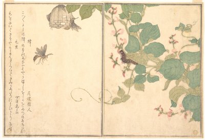  作： Kitagawa Utamaro