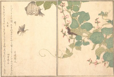 スズメバチのハチ、毛虫のケムシ...、1788年。 作： Kitagawa Utamaro