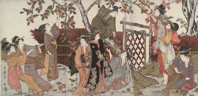 柿採り 作： Kitagawa Utamaro