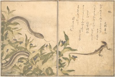 ラットスネーク ヘビ、トカゲ、トカゲ トカゲ..., 1788. 作： Kitagawa Utamaro