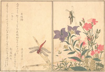 赤とんぼ赤とんぼ、イナゴイナゴ...、1788年。 作： Kitagawa Utamaro