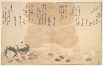 作： Kitagawa Utamaro