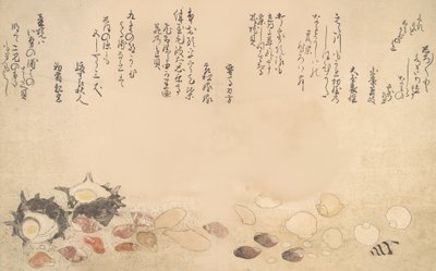 水面下の貝殻、1790年 作： Kitagawa Utamaro