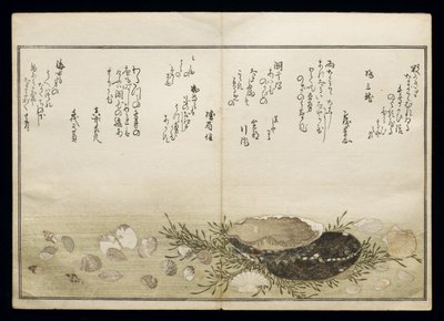 シェルブックとして知られる潮干の節、1789年（色木版画） 作： Kitagawa Utamaro