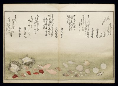 シェルブックとして知られる潮干の節、1789年（色木版画） 作： Kitagawa Utamaro