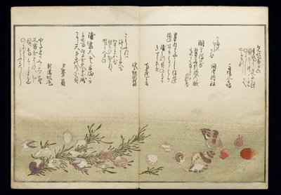 シェルブックとして知られる潮干の節、1789年（色木版画） 作： Kitagawa Utamaro