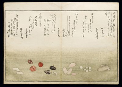 シェルブックとして知られる潮干の節、1789年（色木版画） 作： Kitagawa Utamaro