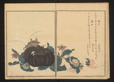 茄子のカタツムリとうるさいコオロギ 作： Kitagawa Utamaro