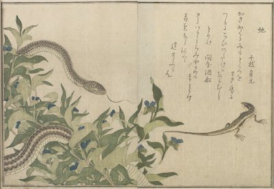 ヘビとトカゲ、1788年（色木版画） 作： Kitagawa Utamaro
