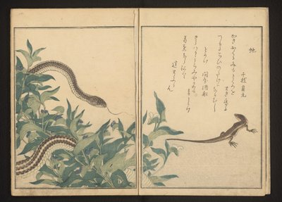 茂みのそばのヘビとトカゲ 作： Kitagawa Utamaro