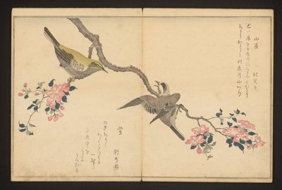 シジュウカラとウグイス 作： Kitagawa Utamaro