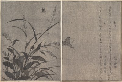 ツキノワグママツムシ、ホタルホタル...、1788年。 作： Kitagawa Utamaro