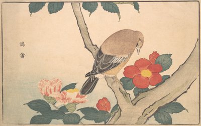 鳥のいるカメリア 1789年 作： Kitao Masayoshi