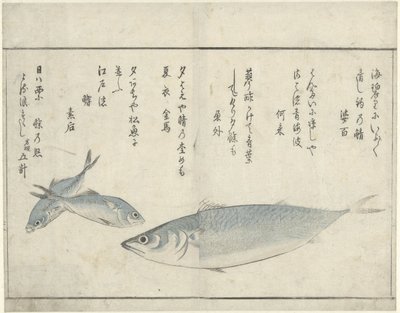 三匹の魚 作： Kitao Masayoshi