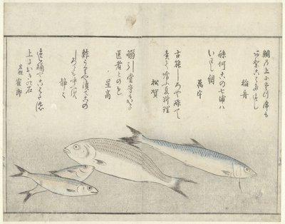 4匹の魚 作： Kitao Masayoshi
