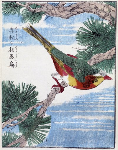 木の上の鳥。北尾光彩による日本画 作： Kitao Shigemasa