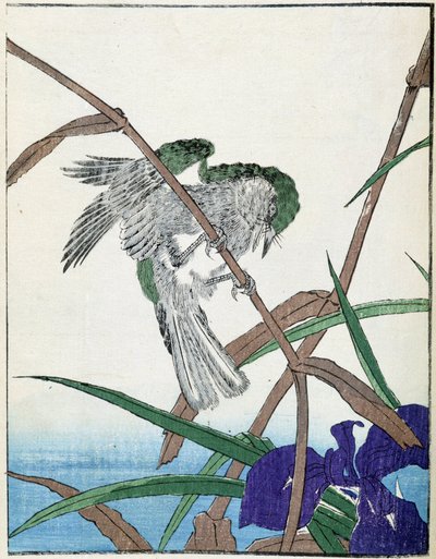木の上の鳥。北尾光彩による日本画 作： Kitao Shigemasa