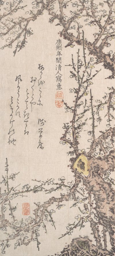 開花した梅の木 18世紀後半から19世紀前半 作： Kitao Shigemasa