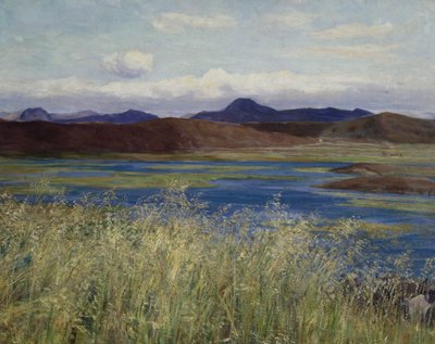 Jærの風景（Jærenの風景）（キャンバスに油彩） 作： Kitty Lange Kielland