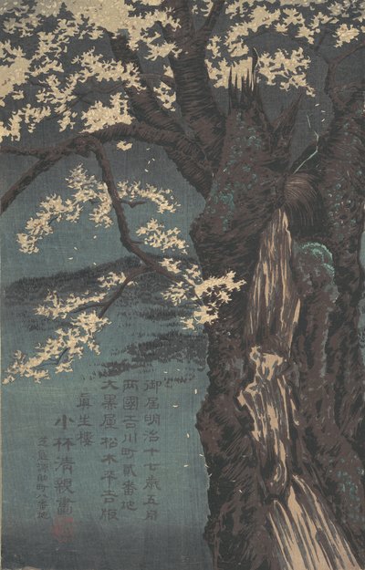1874年の「桜」。 作： Kobayashi Kiyochika