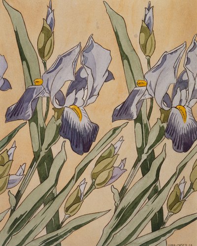 アイリス、1898 作： Koloman Moser