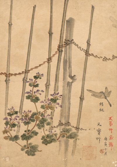 竹垣と菊 作： Kono Bairei
