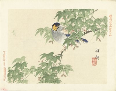 灰青色の鳥 梅嶺の花鳥画（連載タイトル） ばれい課長画譜 作： Kono Bairei