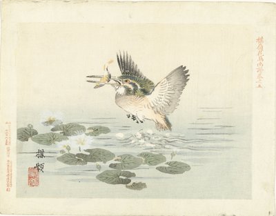 カワセミ 梅嶺の花鳥画（連載タイトル） ばれい課長画譜 作： Kono Bairei