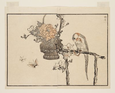 オウム（インコ）（カラー木版画 作： Kono Bairei