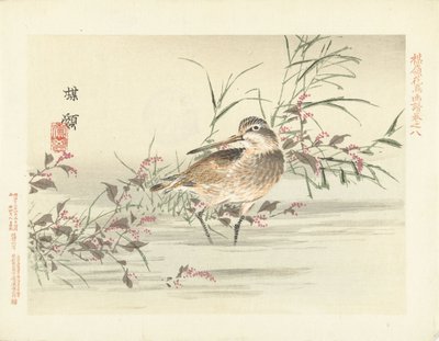 をちょきちょきと切る 梅嶺の花鳥画（連載タイトル） ばれい課長画譜 作： Kono Bairei