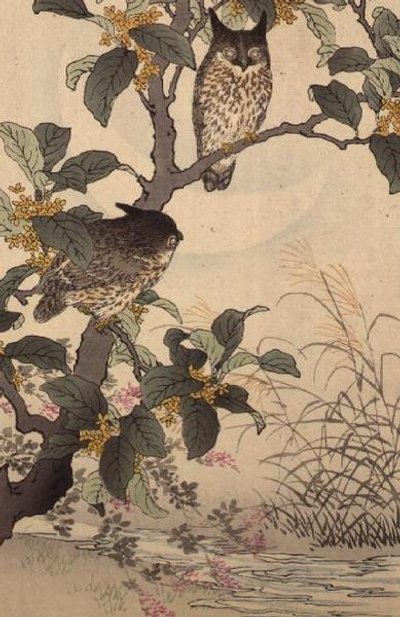 河野梅里（1844-95）の「文芸花鳥画譜」より「木の上の二羽の梟」。1885 作： Kono Bairei