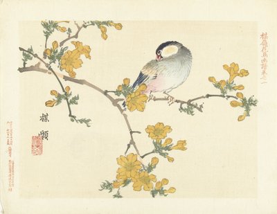 開花枝の鳴き鳥 梅嶺の花鳥画（連載タイトル） ばれい課長画譜 作： Kono Bairei