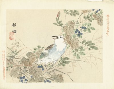 秋の草の間の鳴き鳥 梅嶺の花鳥画（連載タイトル） ばれい課長画譜 作： Kono Bairei