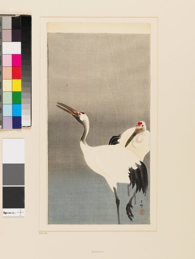 池を泳ぐ2羽のタンチョウ 作： Koson Ohara
