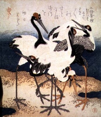 白羽の五羽の鶴が砂地に様々なポーズをとっている様子（『三枚の花びら』シリーズより）1816年頃（墨絵 作： Kubo Shumman