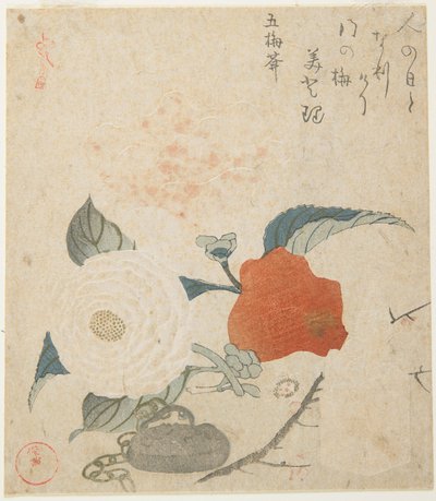  作： Kubo Shunman
