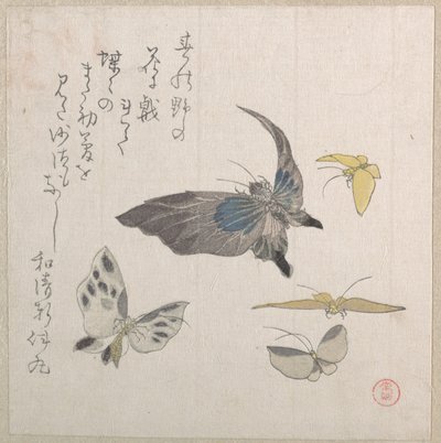  作： Kubo Shunman